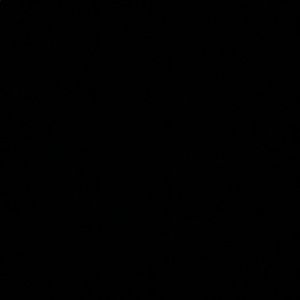 Meet your Posher, Fatima